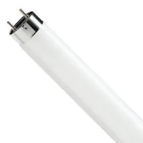 T8 Fluorescent